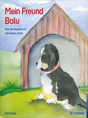 cover image of Mein Freund Balu